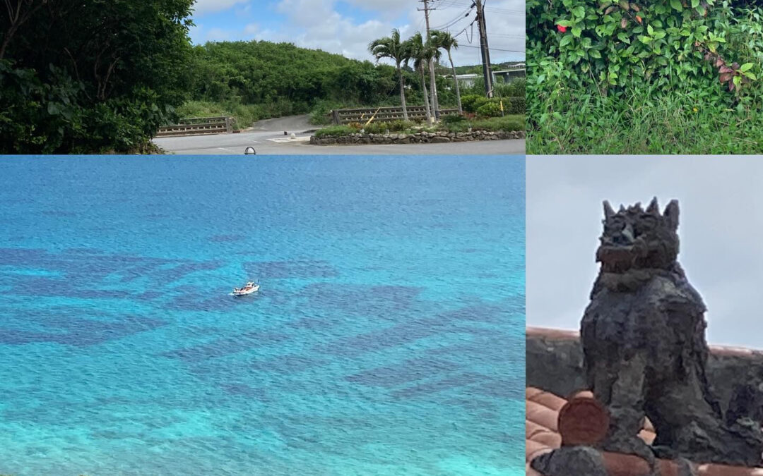 帰京日になって、初めて青い空&宮古ブルーの海が…